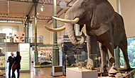 National Museum of Natural Sciences